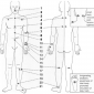 reflex points