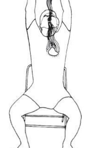 the heart sound position 4