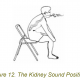 the kidney sound position 2