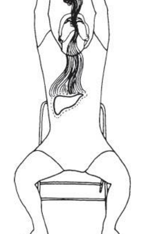 the liver position 3