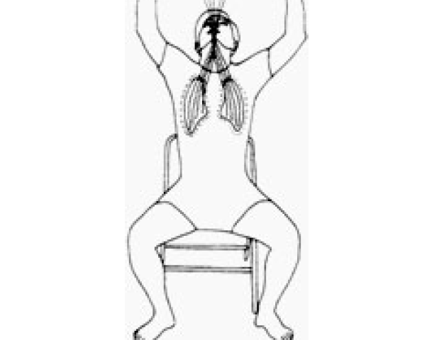 the lung sound position 1