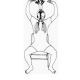 the lung sound position 1