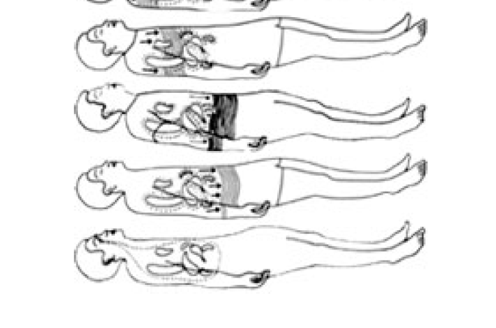 the triple warmer sound position 6