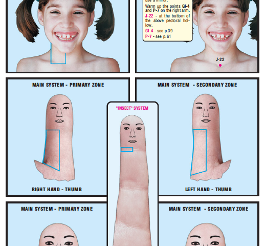 Neck Tissues right side 16