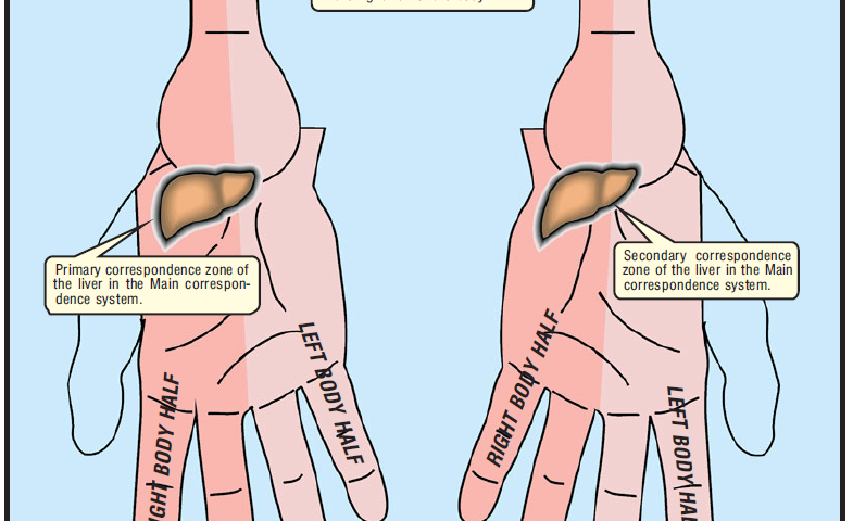 PRIMARY AND SECONDARY ZONES OF CORRESPONDENCE 3