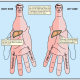 PRIMARY AND SECONDARY ZONES OF CORRESPONDENCE 3