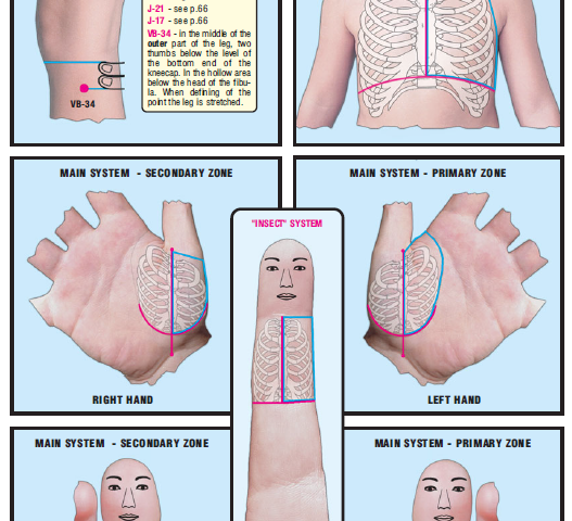 breast tissues left side 22