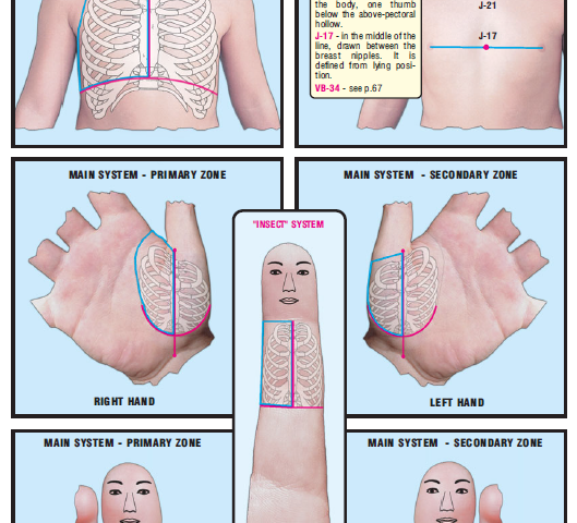 breast tissues right side 21