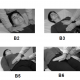reiki hand positions for body 4