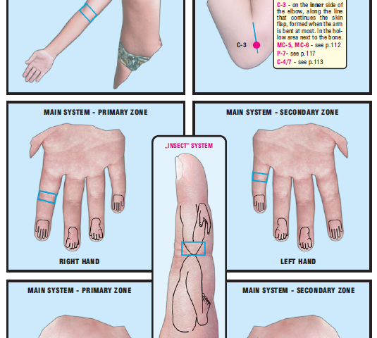 right elbow joint inner side 53