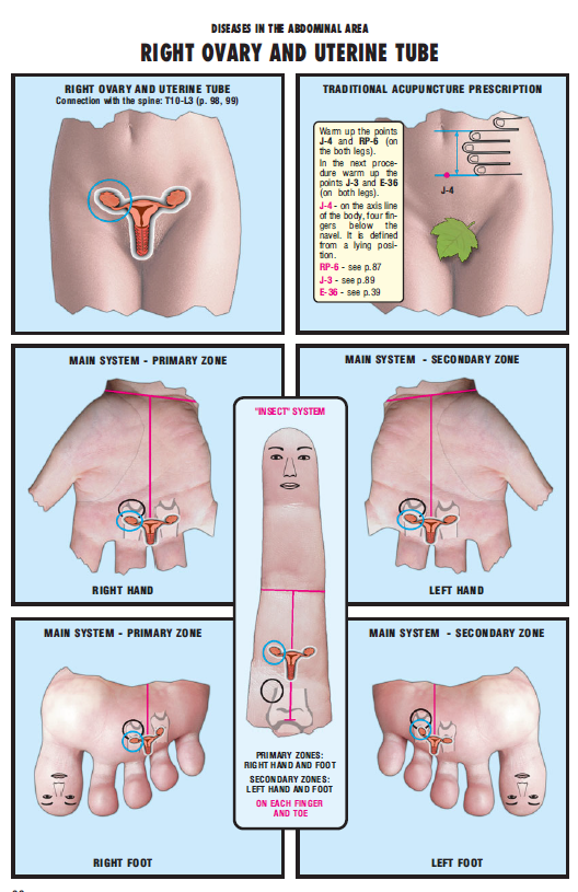 right ovary and uterine tube 37
