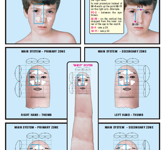 sinuses right side 10