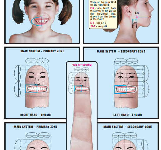 teeth and gums right side 8