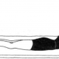 4 makarasana