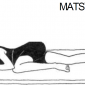 5 matsya kridasana