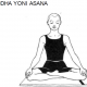 5 siddha yoni asana