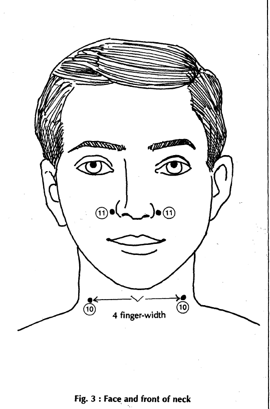 3 face and front of neck