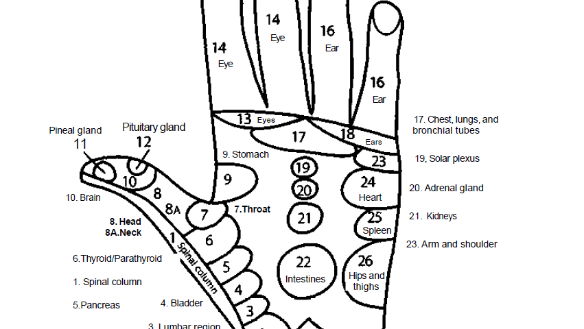 hand reflexology 3