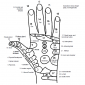 hand reflexology 3