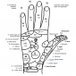hand reflexology 4