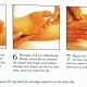 14 toe and feet massage