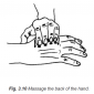 3.10 massage back of the hand