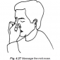 4.27 massage the mid-nose