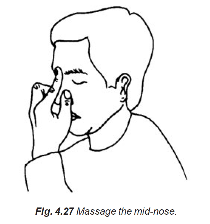 4.27 massage the mid-nose
