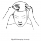 4.3 massaging the scalp