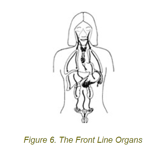 6 front line organs