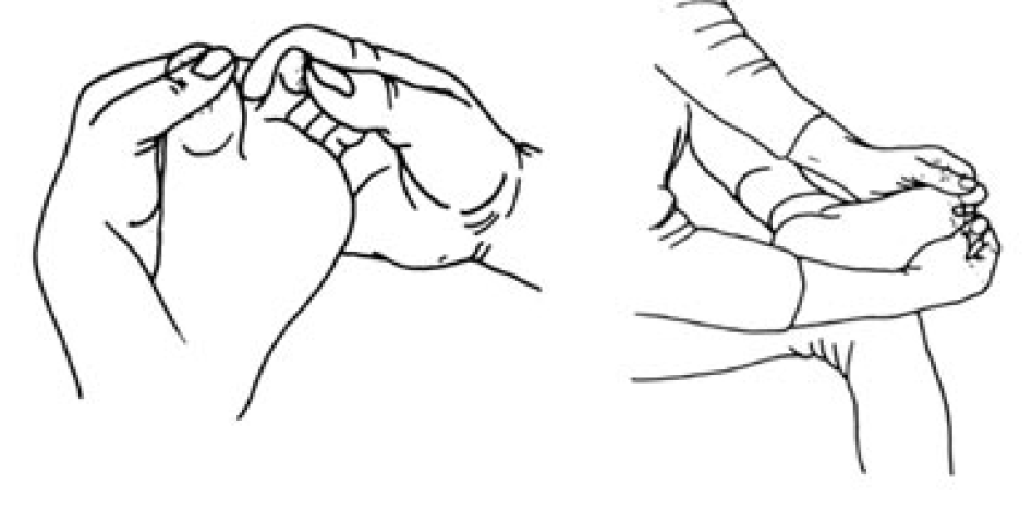 6.5 seperate toes by spreading out