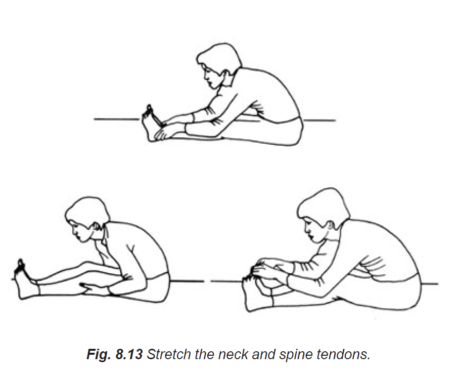 8.13 stretch the neck & spine tendons