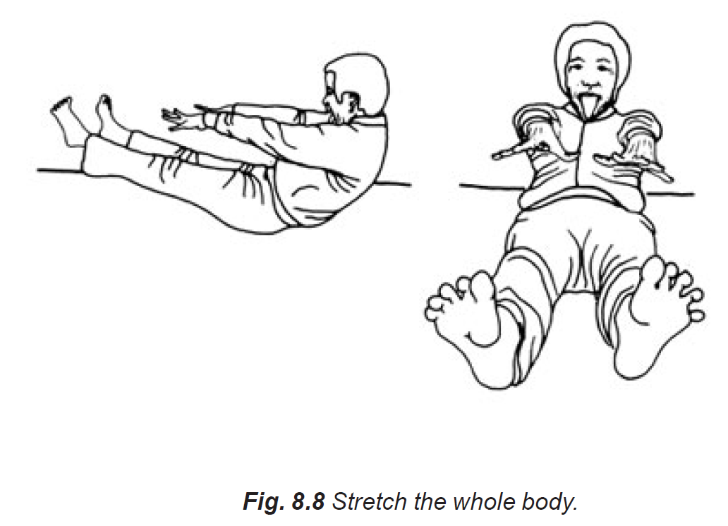 8.8 stretch the whole body
