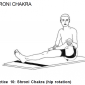 shroni chakra hip rotation 10