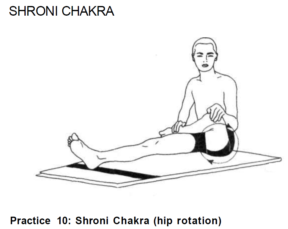 shroni chakra hip rotation 10