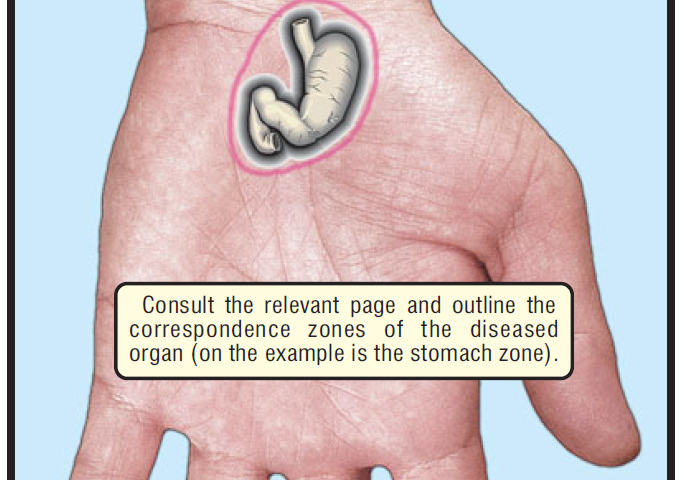 SELECTION OF THE CORRESPONDENCE ZONES 13
