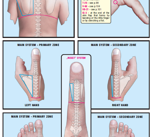 area of left shoulder blade 46