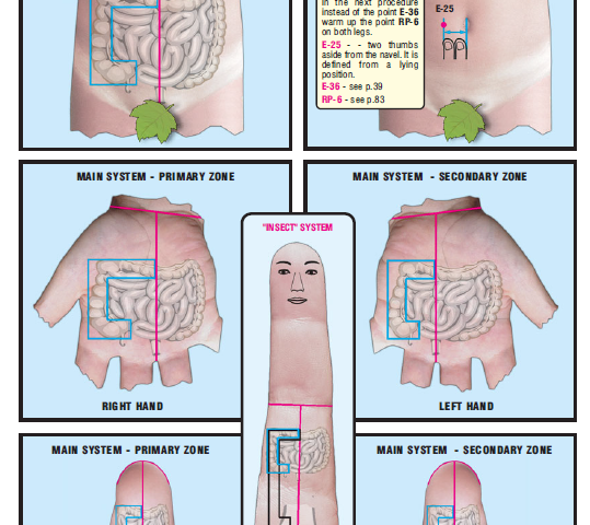 large intestine right side 35