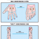 limb diseases 49