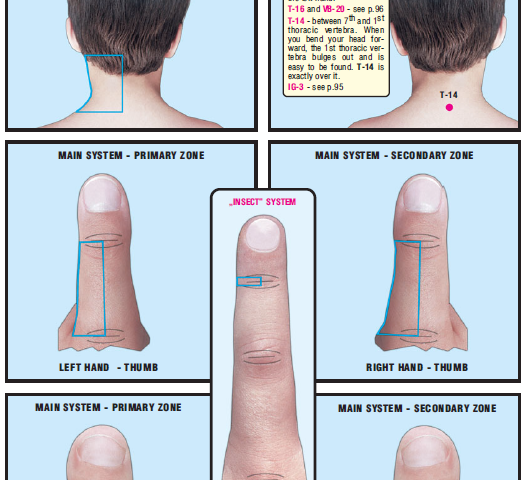 neck tissues left side 43
