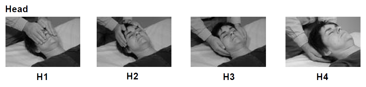 reiki hand positions for head 3