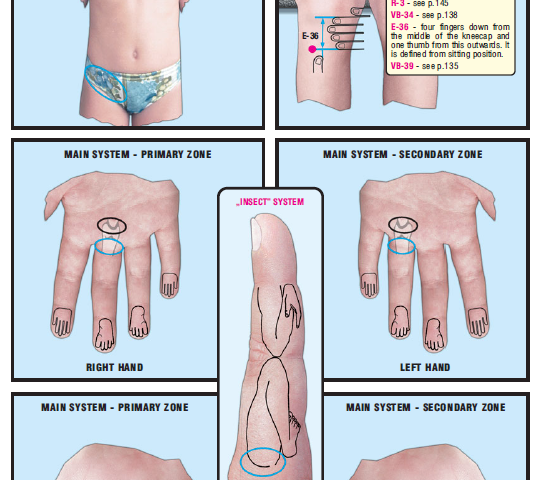 right hip joint front side 56