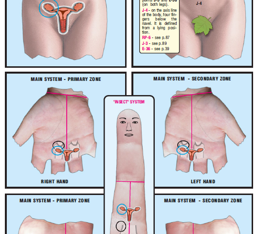 right ovary and uterine tube 37