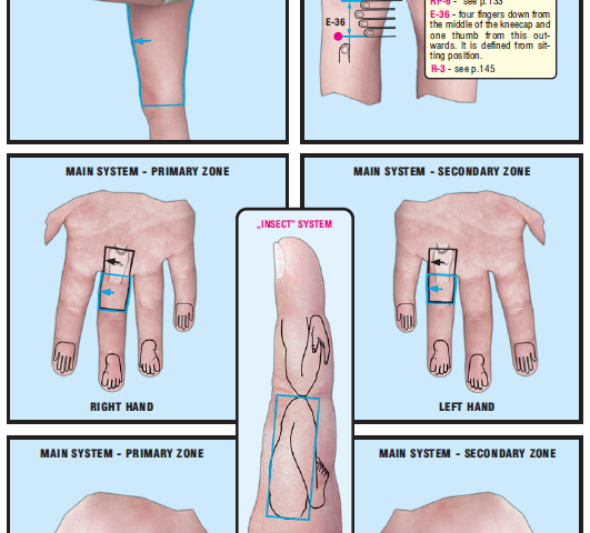 right thigh inner side 57