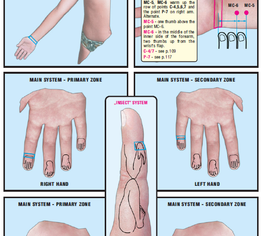 right wrist inner side 51