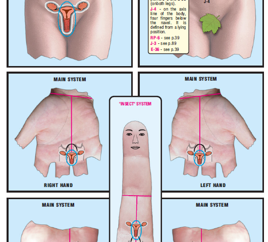 uterus and vagina 38