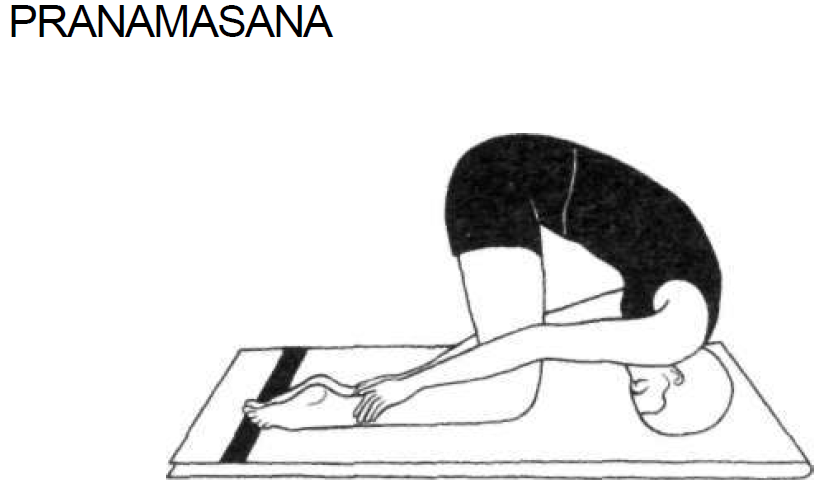 11 pranamasana