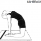 13 ushtrasana